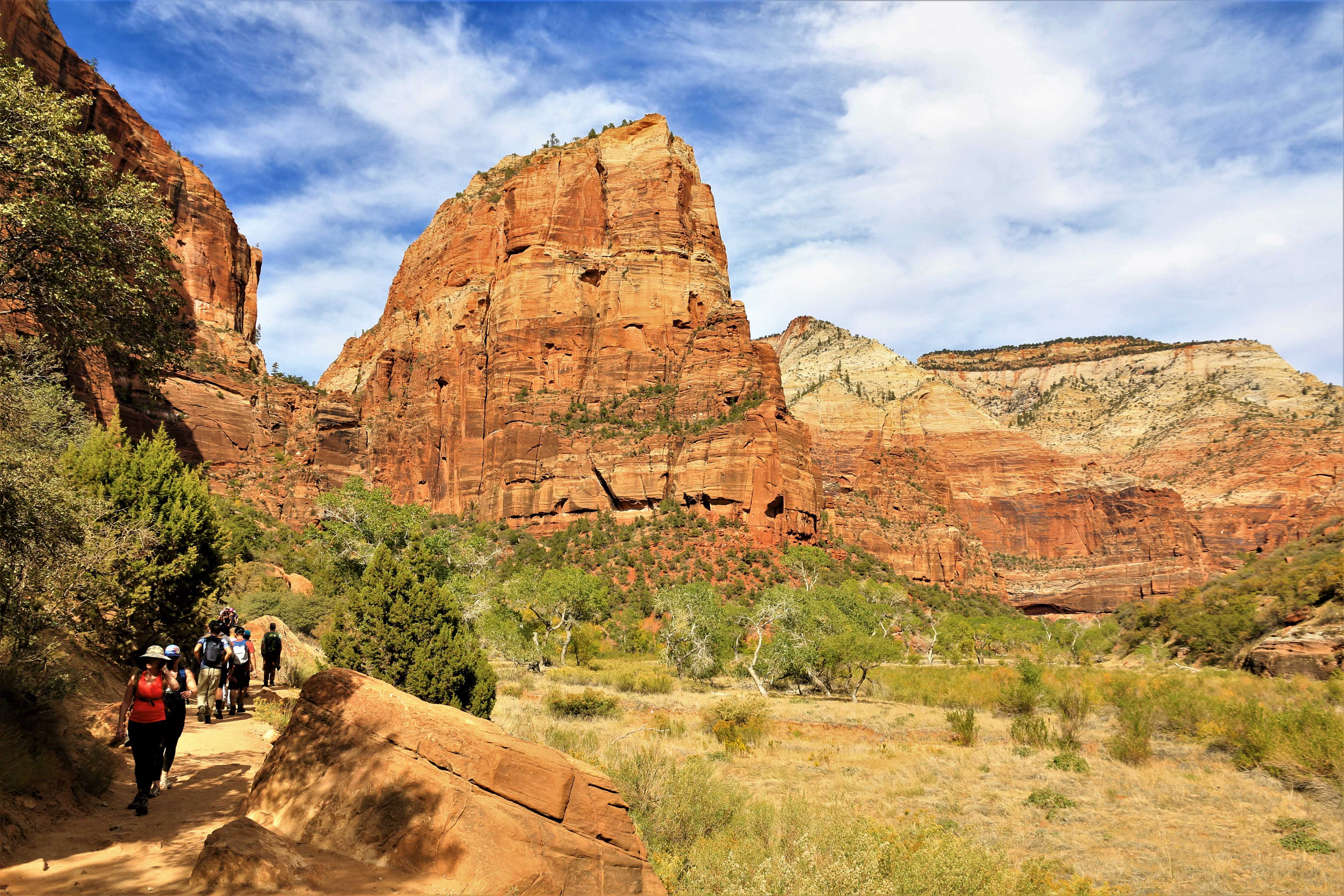Zion NP